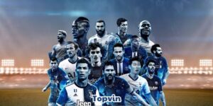 topvin